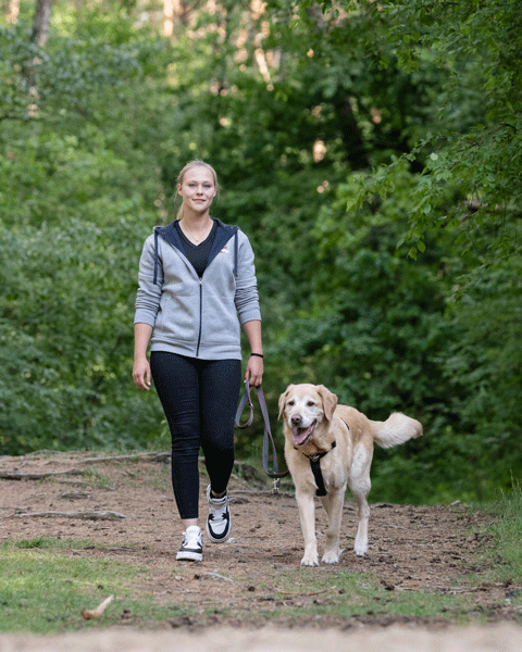 Hundefuehrerschein_Hundeschule_Huntepfoten_Oldenburg_BadZwischenahn